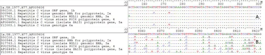 A.5’端非編碼區(qū)序列；B.NS5序列